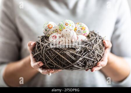 Birds nest full of colorful easter eggs held in womens hands. Stock Photo