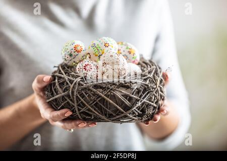 Birds nest full of colorful easter eggs held in womens hands. Stock Photo