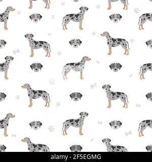 Catahoula leopard dog seamless pattern. Different poses, coat colors set.  Vector illustration Stock Vector