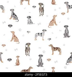 Catahoula leopard dog clipart. Different poses, coat colors set. Vector ...