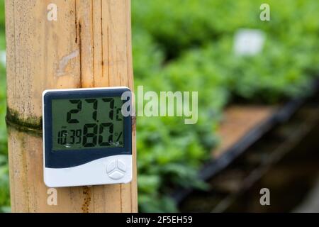 Thermohygrometer instrument for measuring temperature and relative humidity Stock Photo