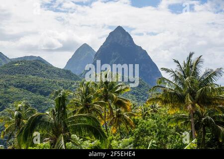 Soufriere, St Lucia. View to the Pitons across rainforest canopy, coconut palms in foreground. Stock Photo