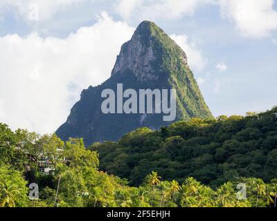 Soufriere, St Lucia. View from Anse Chastanet across rainforest canopy to the summit of Petit Piton, sunset. Stock Photo