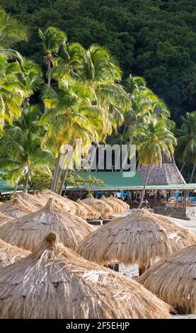 Soufriere, St Lucia. View over beach palapas to waterfront bar beneath swaying palms, Anse Chastanet. Stock Photo
