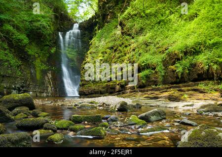 The Sgwd Einion Gam waterfall on the River Pyrddin in the Bannau Brycheiniog (Brecon Beacons) National Park, Powys, Wales. Stock Photo