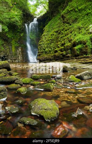 The Sgwd Einion Gam waterfall on the River Pyrddin in the Bannau Brycheiniog (Brecon Beacons) National Park, Powys, Wales. Stock Photo