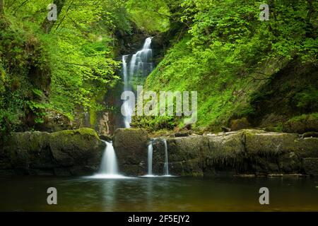 The Sgwd Einion Gam waterfall on the River Pyrddin in the Bannau Brycheiniog (Brecon Beacons) National Park, Powys, Wales. Stock Photo