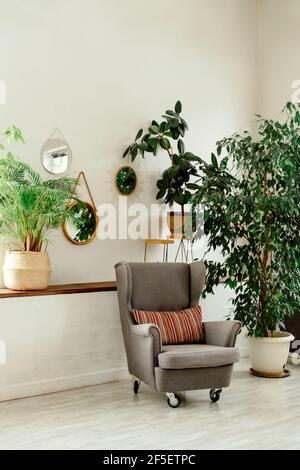 Ficus tree in bright interior. White brick wall with house plant ...