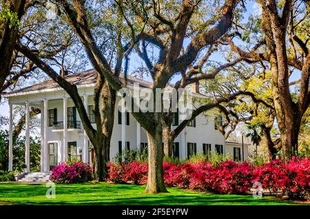 Azaleas bloom at the Bragg-Mitchell Mansion, March 21, 2021, in Mobile, Alabama. The 1855 Greek Revival antebellum mansion is a popular attraction. Stock Photo