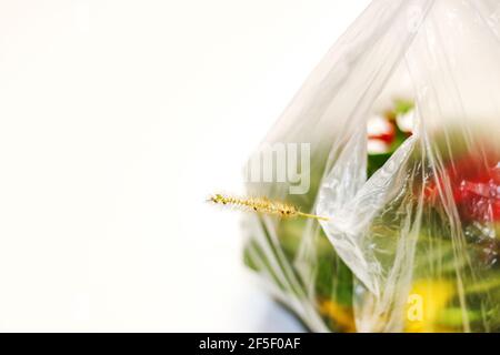 DEFOCUS. Plastic flower. Red and green plants flowers in a plastic bag on a white background. A dry blade of grass sticks out. Ecological problems Stock Photo