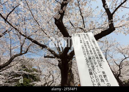 Tokyo, Japan. 26th Mar, 2021. A sign informing the public of the measures to avoid people from gathering for Hanami parties under the cherry blossoms in Yoyogi Park.Though Tokyo lifted its Coronavirus State of Emergency at midnight on March 21st the annual Hanami, cherry blossom parties and other gatherings of large number of people are still limited and discouraged. (Photo by Damon Coulter/SOPA Images/Sipa USA) Credit: Sipa USA/Alamy Live News Stock Photo