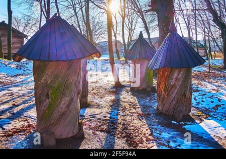 The snowy forest glade with traditional log hives, seen against the sun, Pyrohiv Skansen, Kyiv, Ukraine Stock Photo