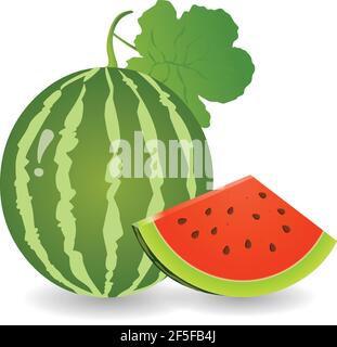 Water melon Illustration vector isolated on white background Stock Vector