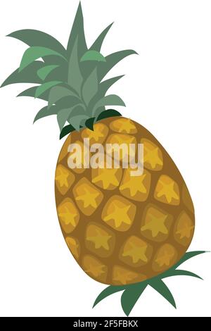 Pineapple vector illustration isolated on white background Stock Vector