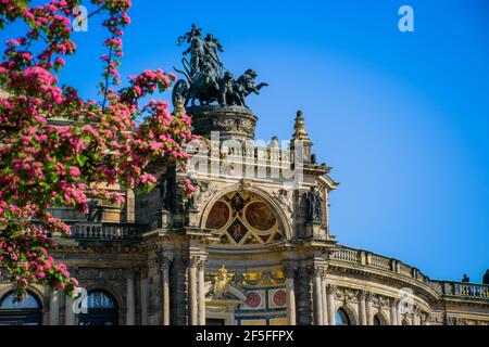 17 May 2019 Dresden, Germany - Dresden Semper Opera theatre (Semperoper), front view in spring. Blooming branches on foreground. Stock Photo