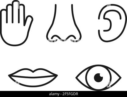 Outline icon set of five human senses: vision (eye), smell (nose), hearing (ear), touch (hand), taste (mouth with tongue). Stock Vector