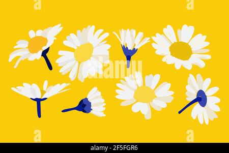 Vector chamomile on a yellow background. Decorative flower illustration in hand drawing style. Stock Vector