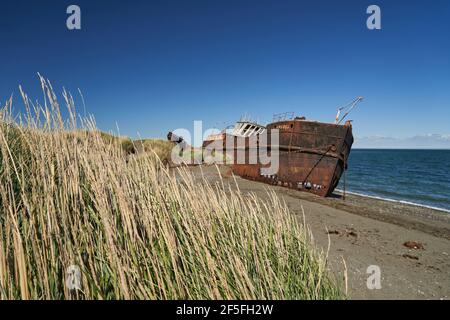 San Gregorio, Argentina-27.11.2018 old rusty and rotten ship wreck with holes in carcass, lying behind long gras on the beach of the coast line of the Stock Photo