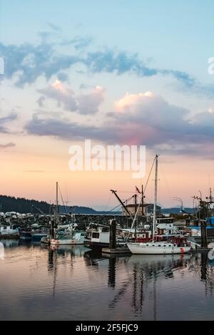 'Pink sky at night, sailor's delight': fishing vessels and pleasure yachts share the docks at Port McNeill, BC, at twilight on a summer evening. Stock Photo
