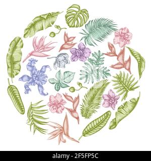 Round floral design with pastel monstera, banana palm leaves, strelitzia, heliconia, tropical palm leaves, orchid Stock Vector