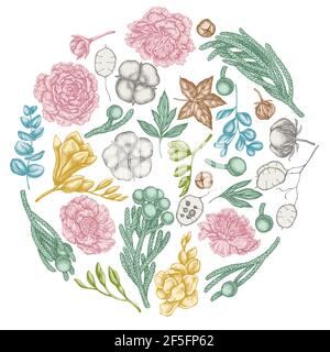 Round floral design with pastel ficus, eucalyptus, peony, cotton, freesia, brunia Stock Vector