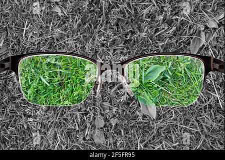 Colorful view of green grass focused in women's glasses and monochrome background. View through eyeglasses. Better vision concept. Stock Photo