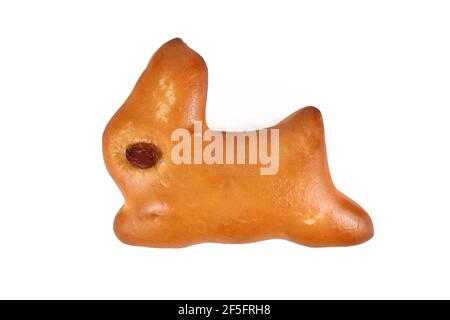 adorable, animal, beautiful, breed, broken egg, bulldog, bulldogs, bunny ears, card, cherry blossom, costume, costume bunny ears, costume ears, cute, Stock Photo