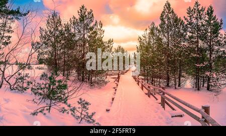 View of footpath covered in snow among pine trees forest near covered in snow sea coast during sunset. Stock Photo