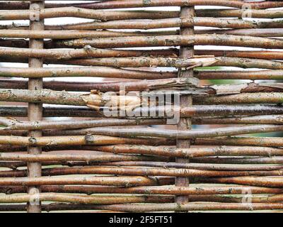 Dense rows of grey weathered willow reeds in an irregular pattern at an fence panel Stock Photo