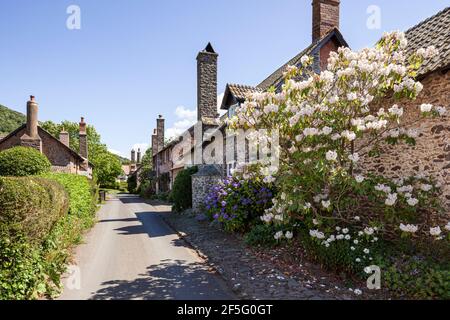 Traditional cottages beside the lane in the Exmoor village of Bossington, Somerset UK Stock Photo