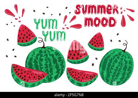 Banner Summer mood juicy watermelons,Juicy ripe watermelon set yum yum, whole watermelon and slice, summer delight fruit, vector illustration in hand Stock Vector