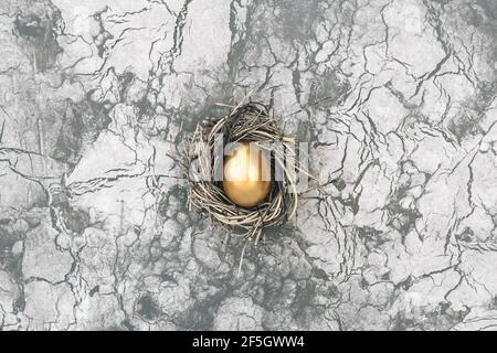 Easter concept. Golden easter egg in birds nest on concrete stone background Stock Photo