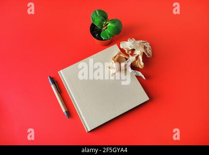 Blank kraft square book, plant, crumpled paper and pen on red paper background. Template for branding design. Stock Photo