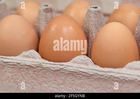 Brown chicken eggs in the package Stock Photo
