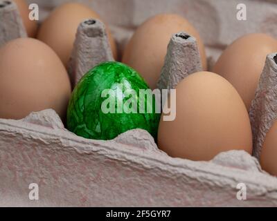 Brown chicken eggs and a green Easter egg in the packaging Stock Photo