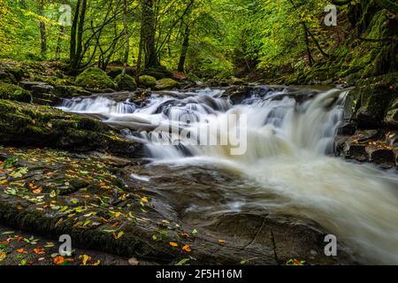 Small waterfalls in the Moness gorge at the Birks o Aberfeldy in the Perthshire countryside, Scottish Highlands Stock Photo