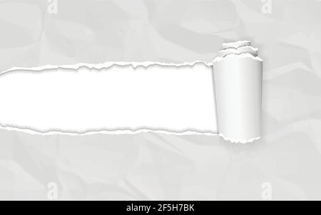 Realistic torn and twisted paper strip. Torn paper edge. Crumpled paper. Vector illustration. Stock Vector