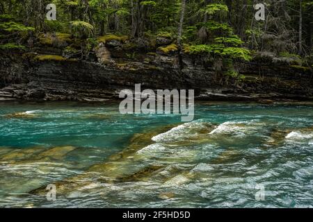 Mossy Cliffs Over McDonald Creek in Glacier National Park Stock Photo
