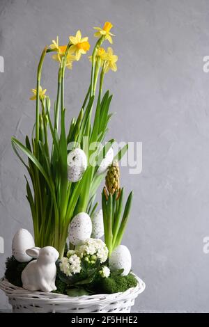 Easter flower composition with blossom narcissus and hyacinth flowers and white eggs in flowerpot. Festive greeting card. Stock Photo