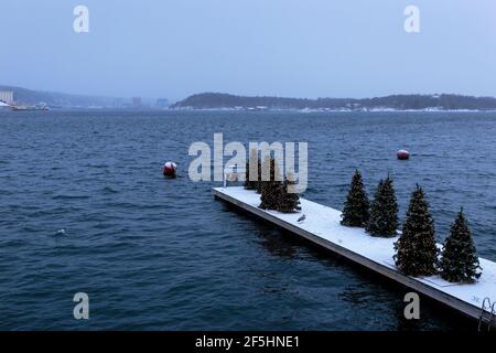 Christmas tree decorations stand on a jetty in Tjuvholmen, a neighborhood located on the coast of the Oslofjord, in Oslo, Norway Stock Photo