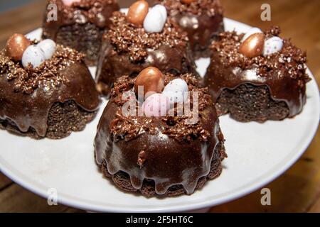 A selection of Easter Chocolate nest Cakes topped with three little chocolate mini eggs on a white plate Stock Photo