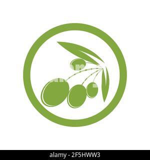 olive logo template vector design Stock Vector