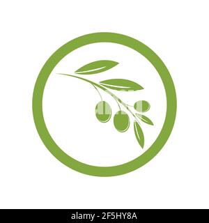 olive logo template vector design Stock Vector