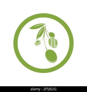 olive logo template vector design Stock Vector