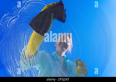 Woman in yellow gloves cleaning window glass with rag on a blue sky background Stock Photo