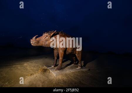 Borrego Springs, CA. March 23, 2021. A sculpture of a horned hog by Mexican artist Ricardo Breceda during a stormy spring evening. Stock Photo