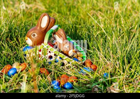 Easter. Two chocolate bunnies in a basket on the grass Stock Photo