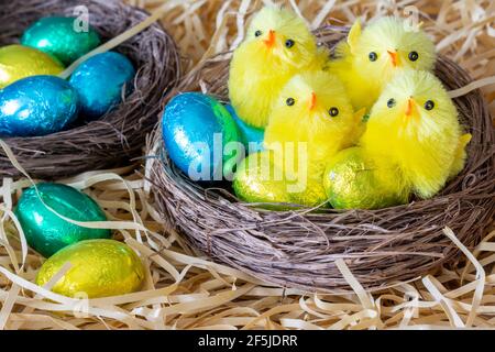 Easter. Small nests decoration with synthetic chicks and easter eggs Stock Photo