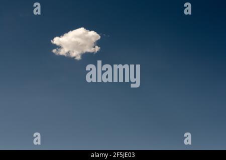Single Puffy Cloud On Blue Sky with copy space Stock Photo