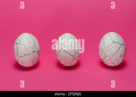 Three organic white chicken eggs   with cracked like paint on pink background. Minimal Easter background Stock Photo